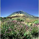 Borinquen